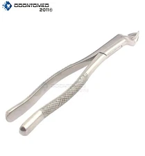 Extracting Forceps Dental Surgical Instruments 88r 
