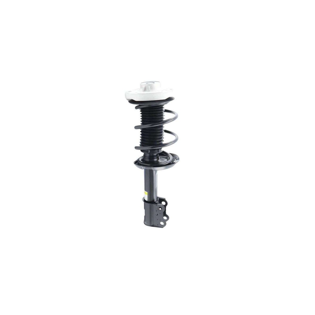 2463233000 Front Right Passenger Strut Shock w Spring for Mercedes