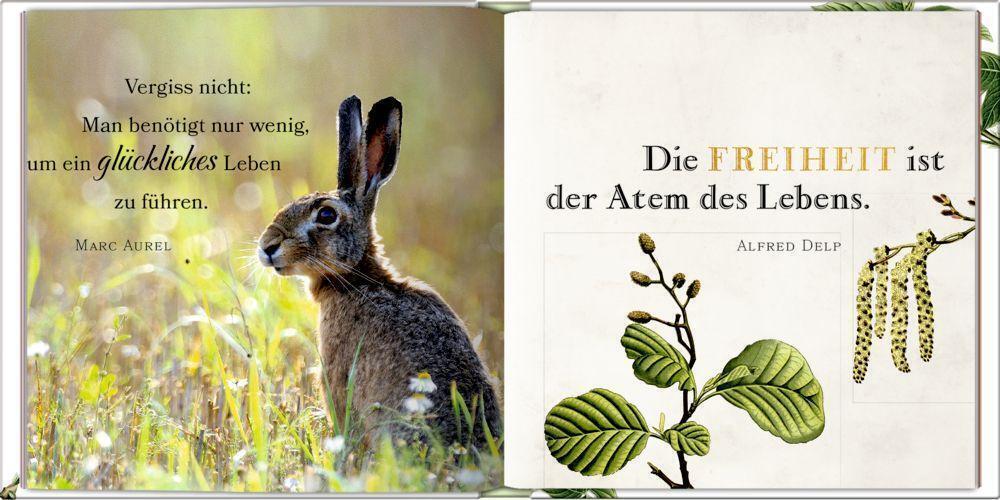Thumbnail - Jeder Tag Ist Schön | Buch | Deutsch (2021) | 160 S. | Coppenrath F