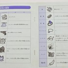Picture 11 of 20