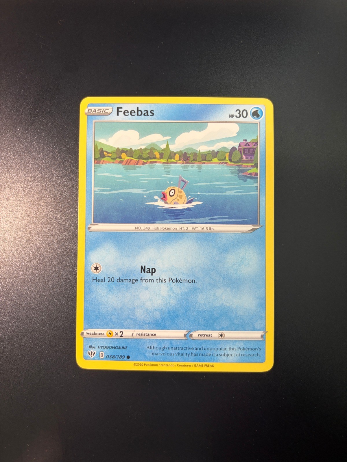 Feebas Common SWSH03: Darkness Ablaze 038/189 LP