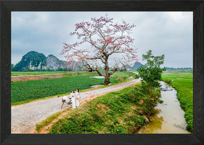 Nice countryside landscape Framed Wall Art Poster Canvas Print Picture