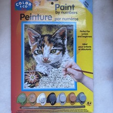 Color  Co Paint By Number Kitten 10027 Ages 8  Up AS IS