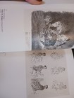 Bild 6 von 24