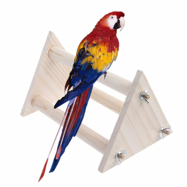 parrot perch stand