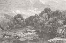 KÜHE. The woodland tees 1854 altes antikes Vintage Druckbild