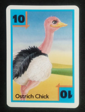 Bicycle kids Zoo Baby Rummy Single Card Blue Ostrich Chick #10