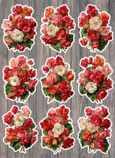 Begonias Die Cut Vinyl Stickers Set Scrapbooking Laptop Waterbottle