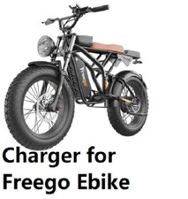 AC Adapter Charger For Freego 48v EV Eectric Scooter E-Bike x20 DK200