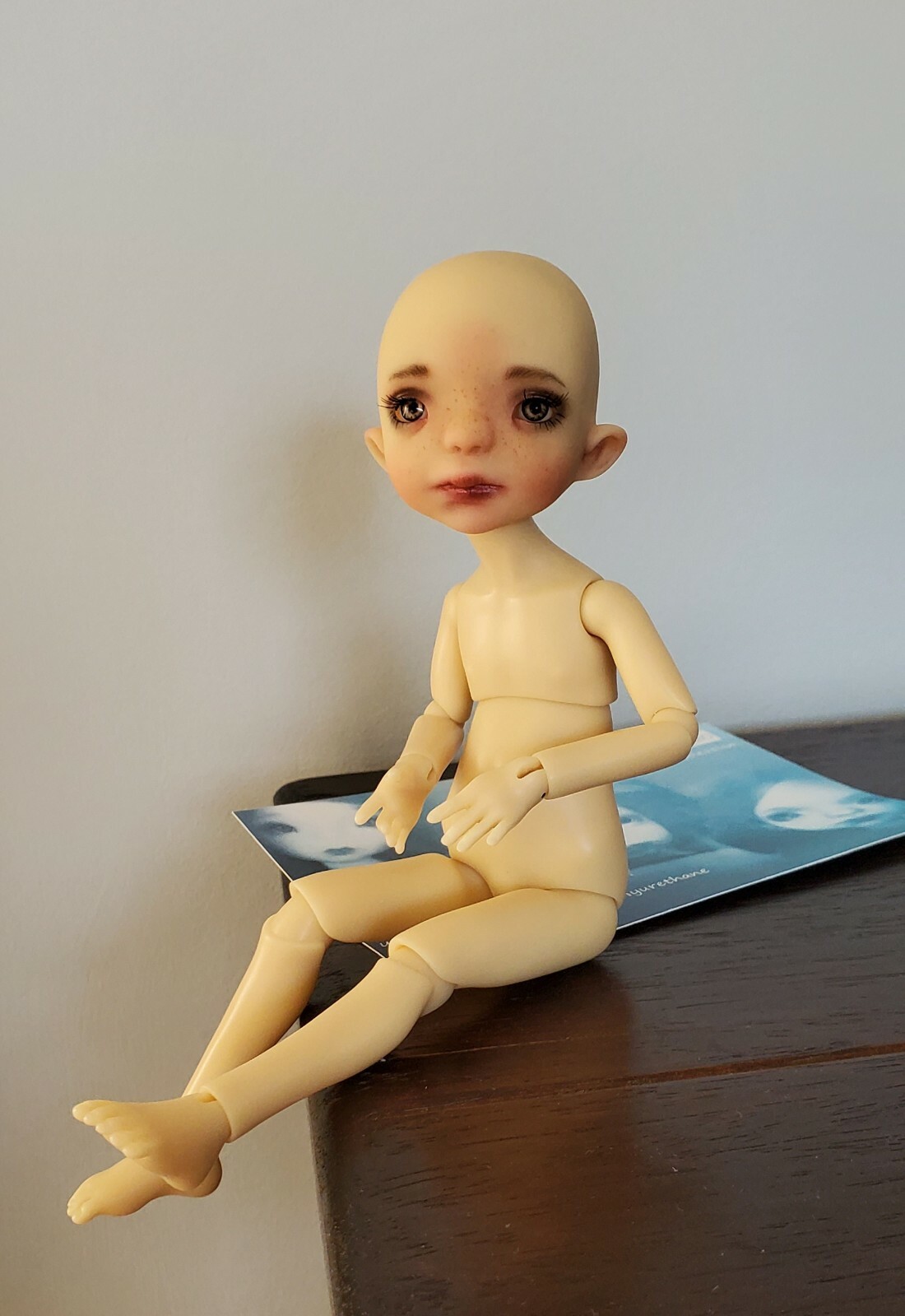 Foto 7 di 12