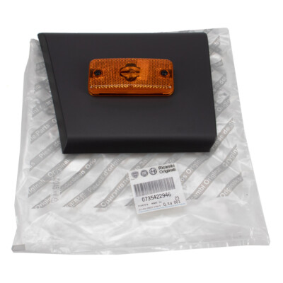 Rammschutzleiste Hinten Rechts Fiat Ducato 230 244