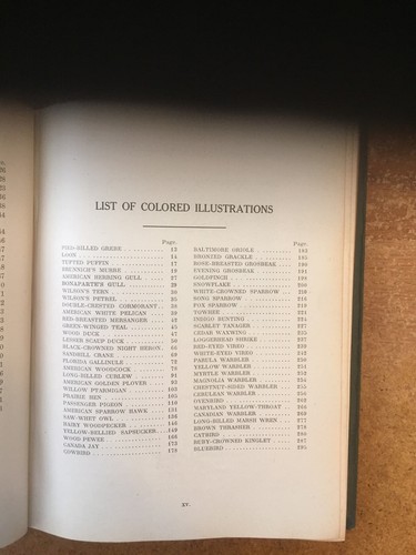 Canadian Birds and How To Study Them. Two Books in One Vol. MacClement Cornis - Picture 8 of 8