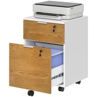 HOMCOM 2 Drawer Filing Cabinet with Adjustable Hanging Bars for A4 and Letter