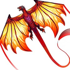 Complete Kite with Handle, Line  Accessories,Easy to Fly for Kids  Adults, ...