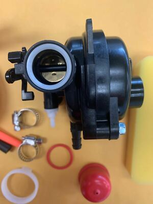 Troy Bilt Briggs And Stratton 450e Carburetor Cleaning Briggs And