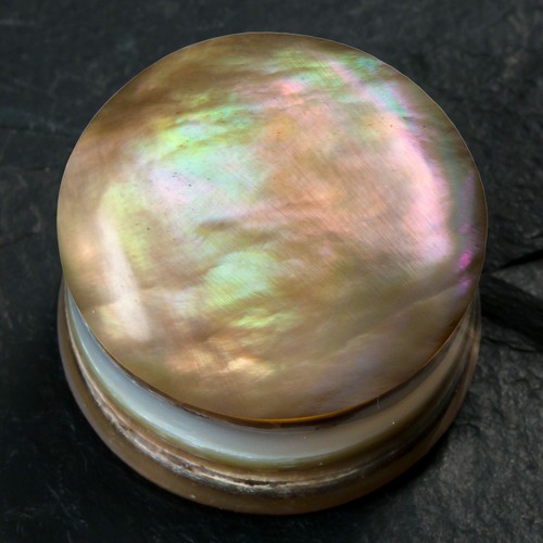 Flesh Tunnel Ohr Plug Perlmutt Muschel Piercing Schmuck  - Bild 7 von 7