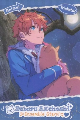 Ensemble Stars! Subaru Akehoshi Postcard Venus Start Trading Card Collection