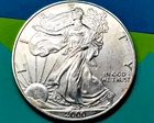 2000  SILVER EAGLE Coin- ITCHY MEETS SCRATCHY... BUT RIGHT FOR YOU?
