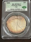1987 & 1988 MS Details CAC GRADED MASSIVE TONED SILVER EAGLES Reds Blues — photo 4