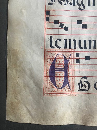 Antiphonar Einzelblatt ca. 1550 - Bild 7 von 12
