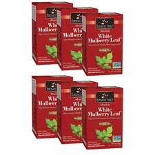 Absolute White Mulberry Leaf by Bravo Tea (6 Boxes of 20 Teabags Each)