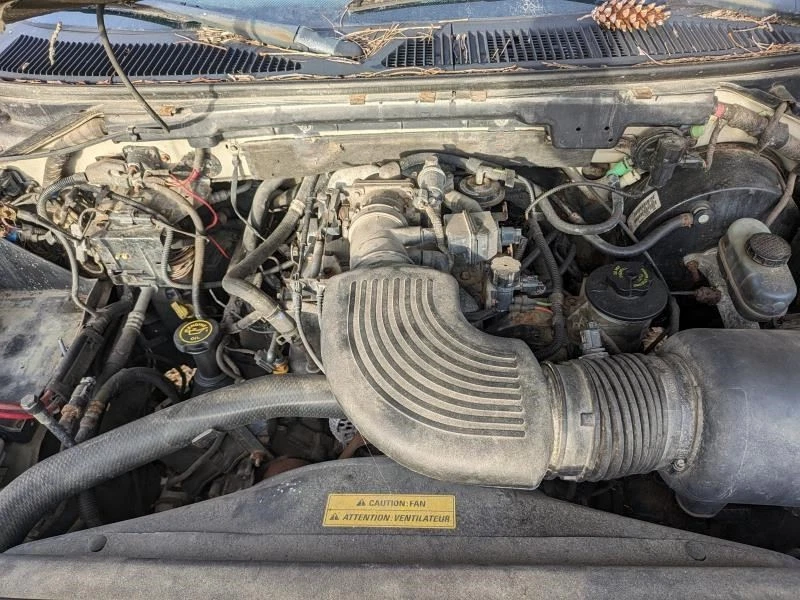 Rear Drive Shaft 139" Wb Heritage 4WD 4.2L Fits 97-04 FORD F150 PICKUP 173375 Foto 4 de 4