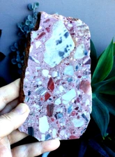 BRECCIA CHERT CONGLOMERATE SLAB W. AUSTRALIA 162 X 103 X 12 MM 380 G