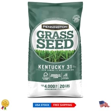 20 lb Kentucky 31 Tall Fescue Grass Seed - Ideal for Full Sun & Shade Areas