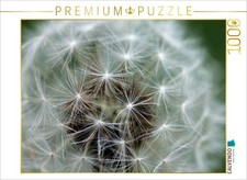CALVENDO Puzzle Pusteblume 1000 Teile Lege-Gr e 64x48cm Foto-Puzzle f r gl ck