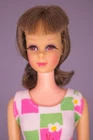 VINTAGE 1960's MATTEL BARBIE BRUNETTE BENDABLE LEG FRANCIE DOLL W SWIMSUIT
