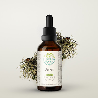 HerbEra Usnea Alcohol-FREE Tincture, Usnea (Usnea spp.)