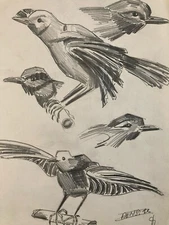 Beau Dessin Oiseau 1950 Mine De Plomb Cubiste Cubisme Moineaux  A Identifier Art