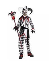 Sinister Jester Boys Halloween Costume; Size Large 12-14