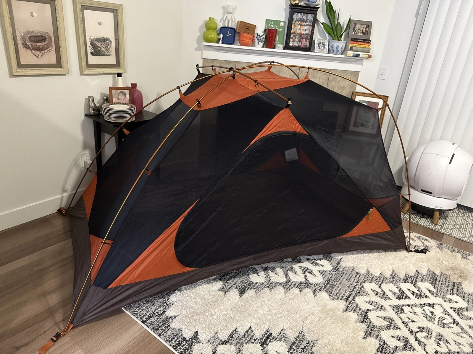 ALPS Mountaineering Aries 2-Person Tent and Floor Saver