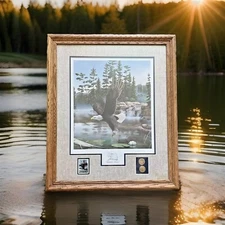 Boundary Waters Bald Eagle Leo Stans National Parks Stamp Coin Design 1990