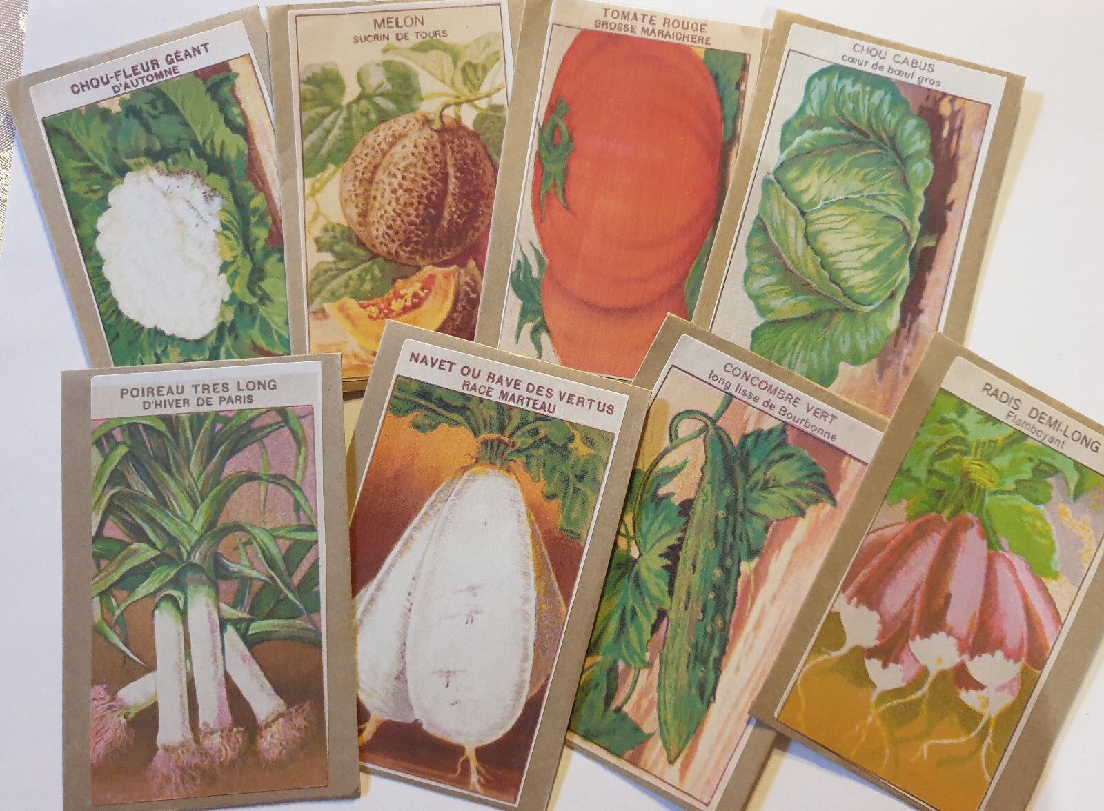 Calendrier de l'avent semences pour créer un potager de légumes anciens en famille
