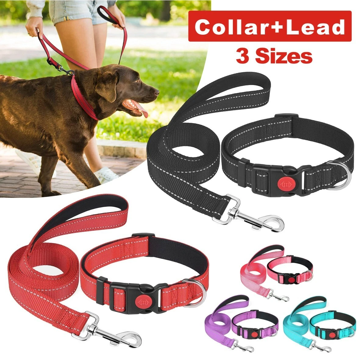Padded dog leads cheap