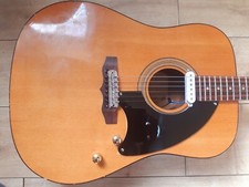 Eko/kay Vintage Custom Electro Acoustic Guitar