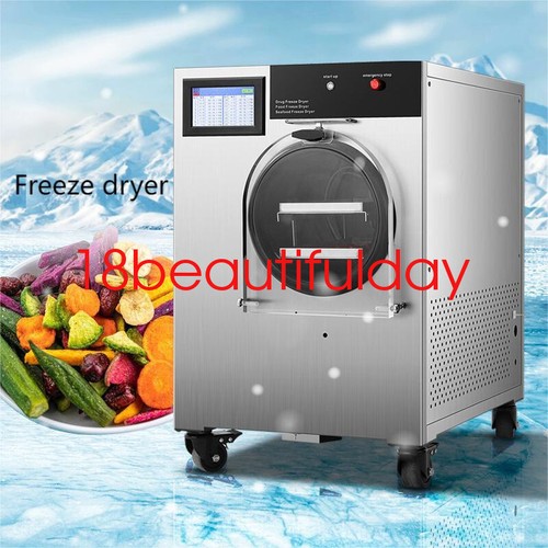 Industrial Food Vegetable Fruit Lab Vacuum Lyophilization Freeze Dryer 4 Pallets