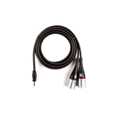 Planet Waves PW-MPXLR-06 Custom Series 3.5mm to Dual XLR Y-Cable - 6FT, New!