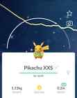 Bild 147 von 242