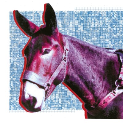PROTOMARTYR - ULTIMATE SUCCESS TODAY   CD NEU