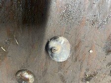 Antique Vintage Johnson Iron Horse Model X-305 Engine Crankcase Breather Cap