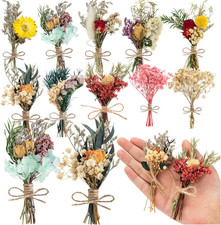 10 Pcs Dried Flowers for Crafts, Mini Dried Flowers Bouquet Bulk for Vase DIY...