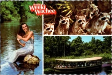Spring Hill Florida FL : RISQUE WEEKI WACHEE TOURIST ATTRACTION n/24 BR0484