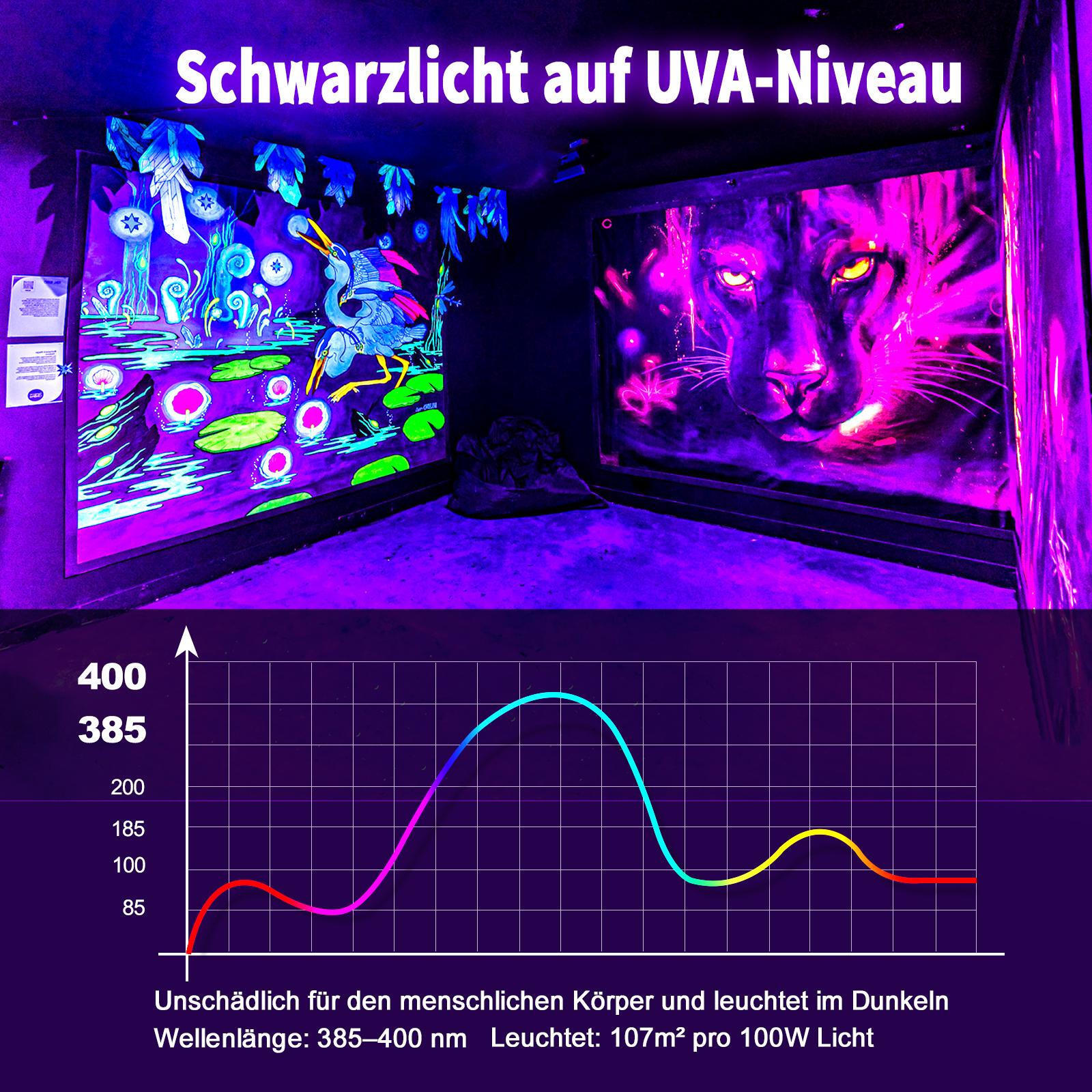 Bild 6 von 12