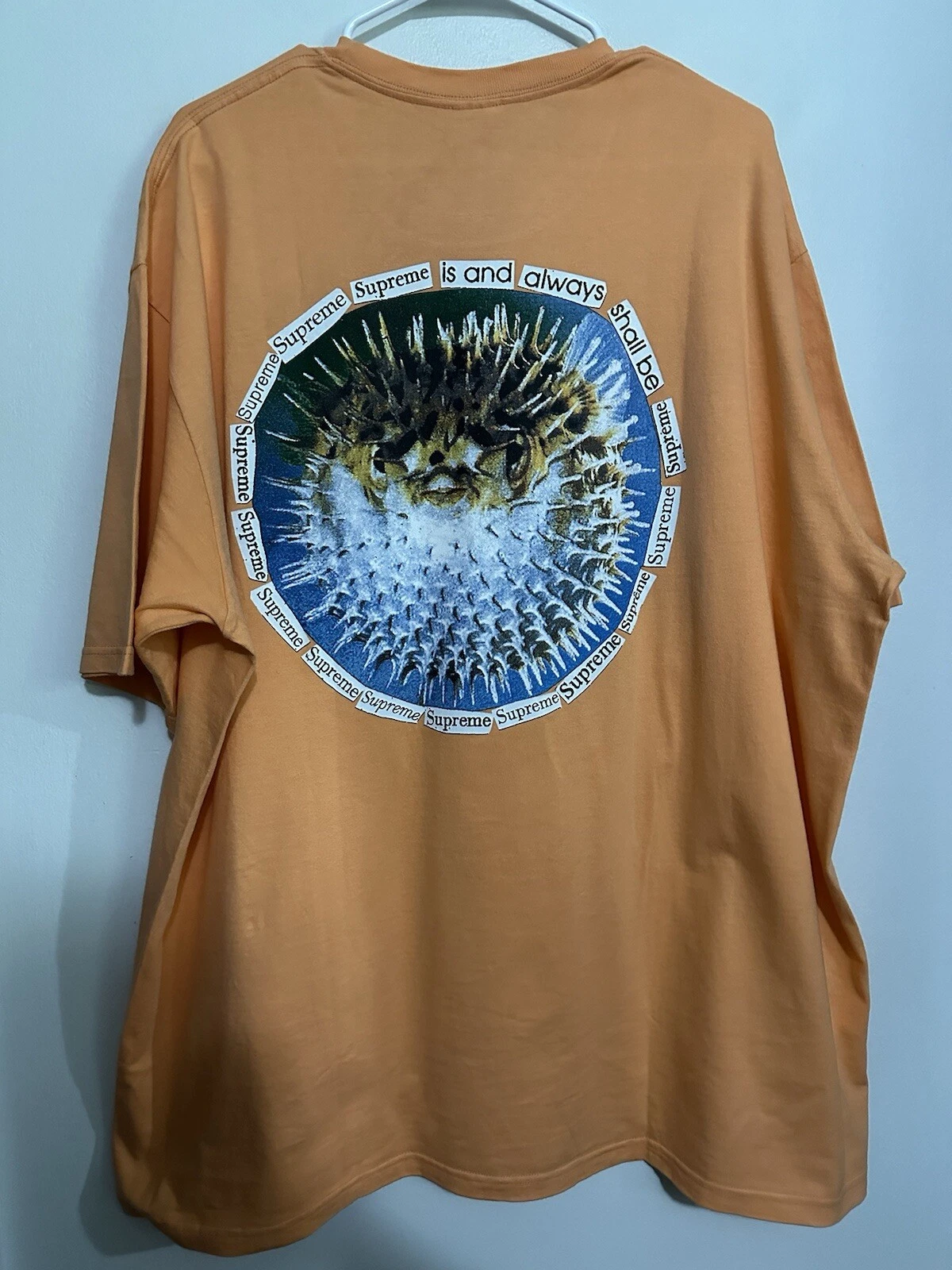 Tee shirt Supreme Blowfish