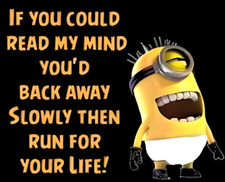If You Could Read My Mind You'd Back Away Slowly Then Run For Life Minion MAGNET