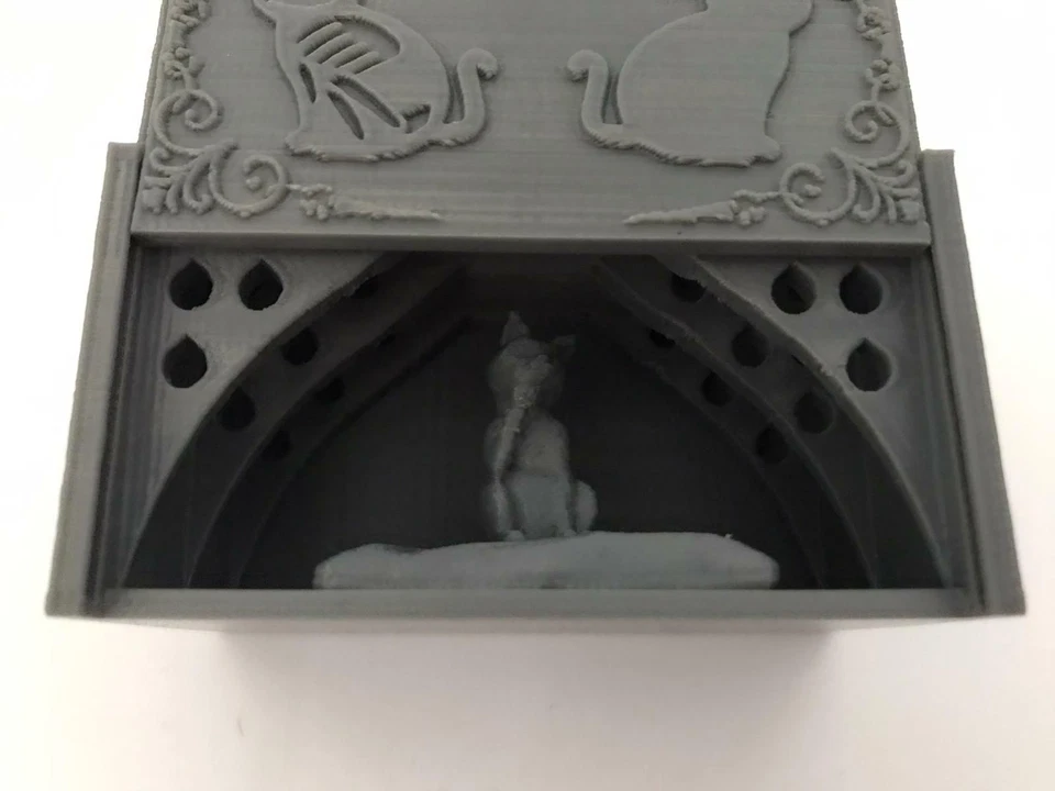 Apertura de Gato Schrödinger Modelo Único Adorno Física Regalo Su Pintable Foto 2 de 4