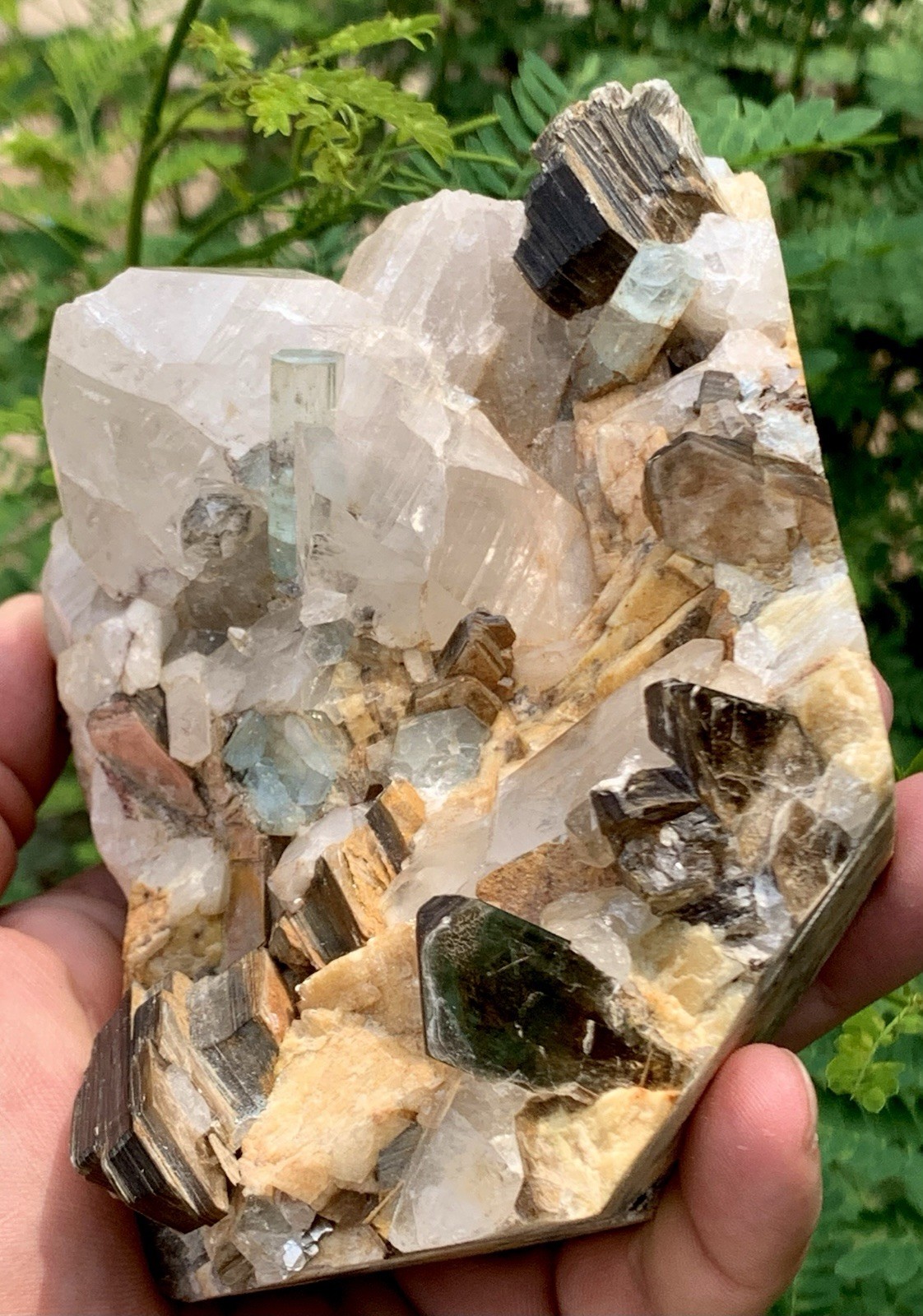 Picture 5 of 10